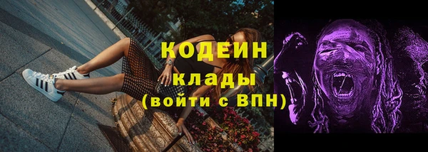 ECSTASY Гусь-Хрустальный