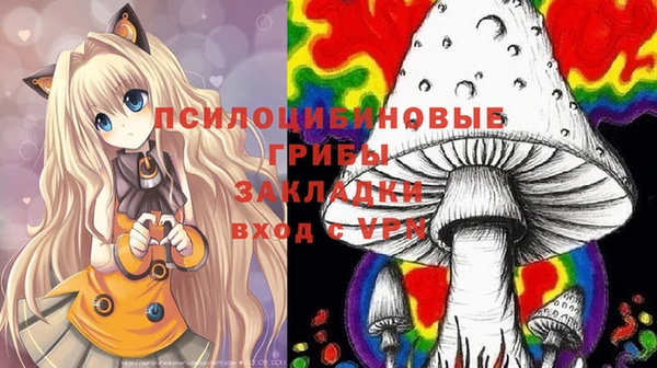 ECSTASY Гусь-Хрустальный