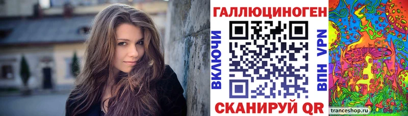 Купить где  Томмот  Псилоцибиновые грибы Magic Shrooms 